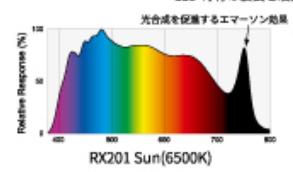 ボルクスジャパン グラッシーレディオ RX201 サンのスペクトル図